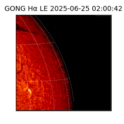 gong - 2025-06-25T02:00:42