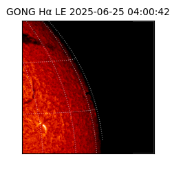 gong - 2025-06-25T04:00:42
