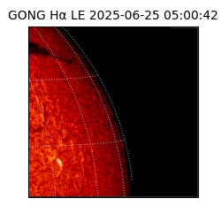 gong - 2025-06-25T05:00:42