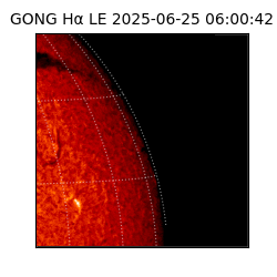 gong - 2025-06-25T06:00:42