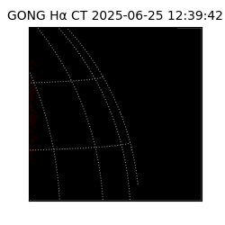 gong - 2025-06-25T12:39:42