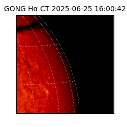 gong - 2025-06-25T16:00:42
