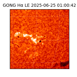 gong - 2025-06-25T01:00:42