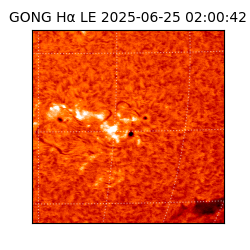 gong - 2025-06-25T02:00:42