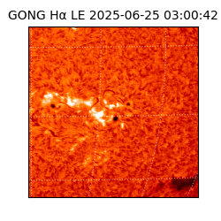 gong - 2025-06-25T03:00:42