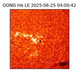 gong - 2025-06-25T04:00:42