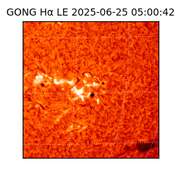 gong - 2025-06-25T05:00:42