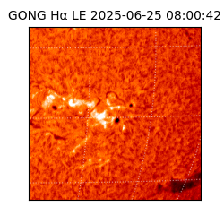 gong - 2025-06-25T08:00:42