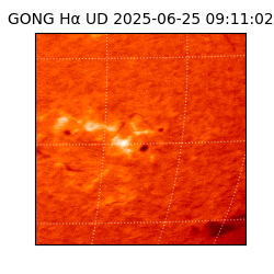 gong - 2025-06-25T09:11:02