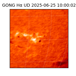 gong - 2025-06-25T10:00:02