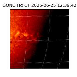 gong - 2025-06-25T12:39:42