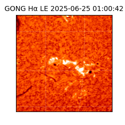 gong - 2025-06-25T01:00:42