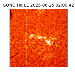 gong - 2025-06-25T02:00:42