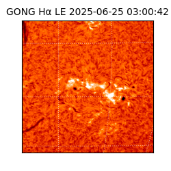 gong - 2025-06-25T03:00:42