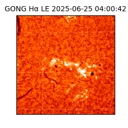 gong - 2025-06-25T04:00:42