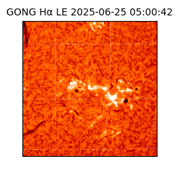 gong - 2025-06-25T05:00:42