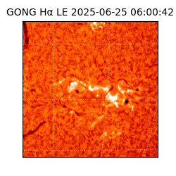 gong - 2025-06-25T06:00:42