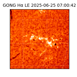 gong - 2025-06-25T07:00:42