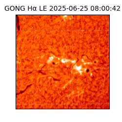 gong - 2025-06-25T08:00:42