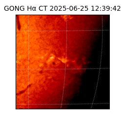 gong - 2025-06-25T12:39:42