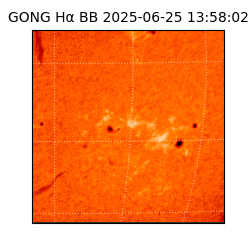 gong - 2025-06-25T13:58:02