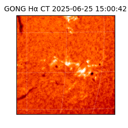 gong - 2025-06-25T15:00:42