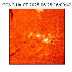 gong - 2025-06-25T16:00:42