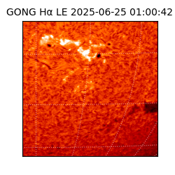 gong - 2025-06-25T01:00:42