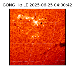 gong - 2025-06-25T04:00:42