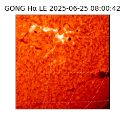 gong - 2025-06-25T08:00:42