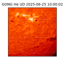 gong - 2025-06-25T10:00:02