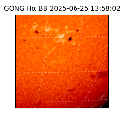 gong - 2025-06-25T13:58:02
