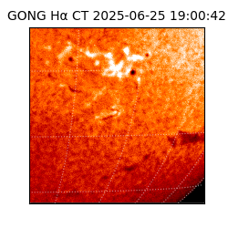 gong - 2025-06-25T19:00:42