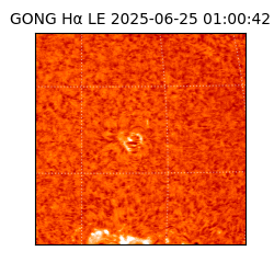 gong - 2025-06-25T01:00:42