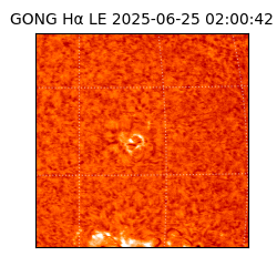 gong - 2025-06-25T02:00:42