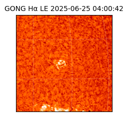 gong - 2025-06-25T04:00:42