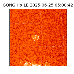 gong - 2025-06-25T05:00:42