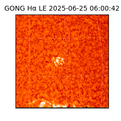 gong - 2025-06-25T06:00:42