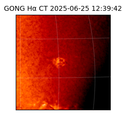 gong - 2025-06-25T12:39:42