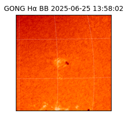 gong - 2025-06-25T13:58:02
