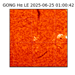 gong - 2025-06-25T01:00:42