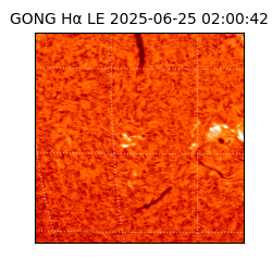 gong - 2025-06-25T02:00:42