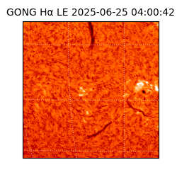 gong - 2025-06-25T04:00:42