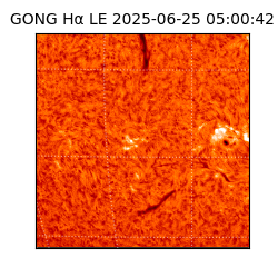 gong - 2025-06-25T05:00:42