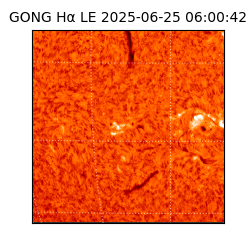 gong - 2025-06-25T06:00:42