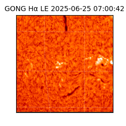 gong - 2025-06-25T07:00:42