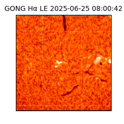 gong - 2025-06-25T08:00:42