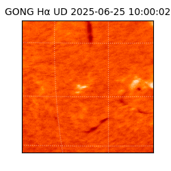 gong - 2025-06-25T10:00:02