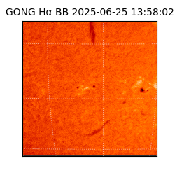 gong - 2025-06-25T13:58:02