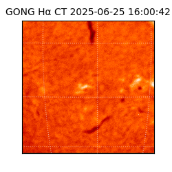 gong - 2025-06-25T16:00:42